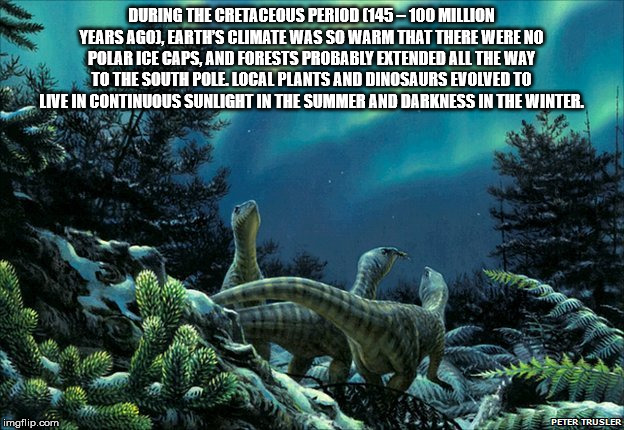 timimus and leaellynasaura - During The Cretaceous Period 145100 Million Years Ago, Earth'S Climate Was So Warm That There Were No Polar Ice Caps, And Forests Probably Extended All The Way To The South Pole, Local Plants And Dinosaurs Evolved To Live In C