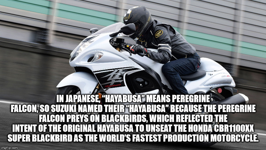 suzuki hayabusa - Od In Japanese Hayabusa Means Peregrine Falcon, So Suzuki Named Their Hayabusa Because The Peregrine Falcon Preys On Blackbirds, Which Reflected The Intent Of The Original Hayabusa To Unseat The Honda Cbr 1100XX Super Blackbird As The Wo