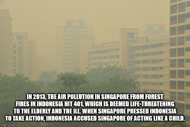 haze - In 2013, The Air Pollution In Singapore From Forest Fires In Indonesia Hit 401, Which Is Deemed LifeThreatening To The Elderly And The Ill. When Singapore Pressed Indonesia To Take Action, Indonesia Accused Singapore Of Acting A Child. imgflip.com