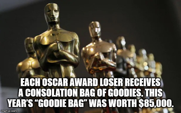 oscar awards - Each Oscar Award Loser Receives A Consolation Bag Of Goodies. This Year'S Goodie Bag Was Worth $85,000. imgflip.com