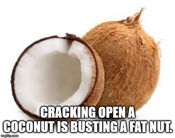 Cracking Open A Coconut Is Busting A Fat Nut. imgflip.com
