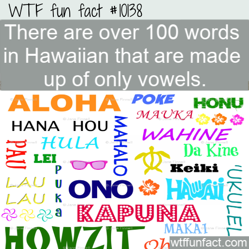 happiness - Wtf fun fact There are over 100 words in Hawaiian that are made up of only vowels. Aloha Poke Honu Wahine Hula K Da Kine Z Lei, Ou Keiki Lau Hono Hawal Lauk 2228 Kapuna Howzit onwtffunfact.com Hana Hou 3 Mauka Makal