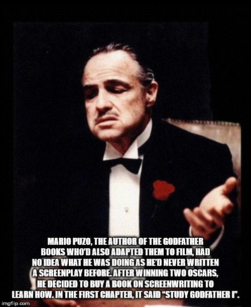 godfather you owe me - Mario Puzo, The Author Of The Godfather Books Who'D Also Adapted Them To Fill Had No Idea What He Was Doing As Hed Never Written A Screenplay Before After Winning Two Oscars, He Decided To Buy A Book On Screenwrming To Learn How. In
