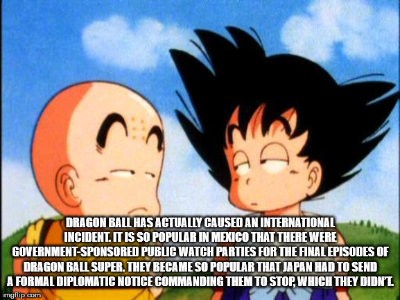 kid goku high - Dragon Ball Has Actually Caused An International Incident. It Is So Popular In Mexico That There Were GovernmentSponsored Public Watch Parties For The Final Episodes Of Dragon Ball Super. They Became So Popular That Japan Had To Send A For