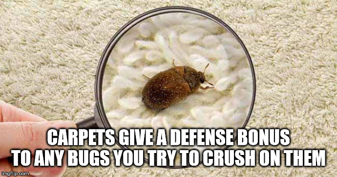 carpet beetle - Carpets Give A Defense Bonus To Any Bugs You Try To Crush On Them imgflip.com