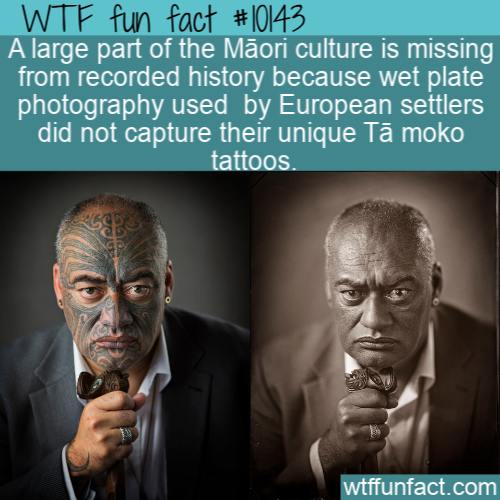 wet plate photography tattoos - Wtf fun fact A large part of the Mori culture is missing from recorded history because wet plate photography used by European settlers did not capture their unique T moko tattoos. wtffunfact.com