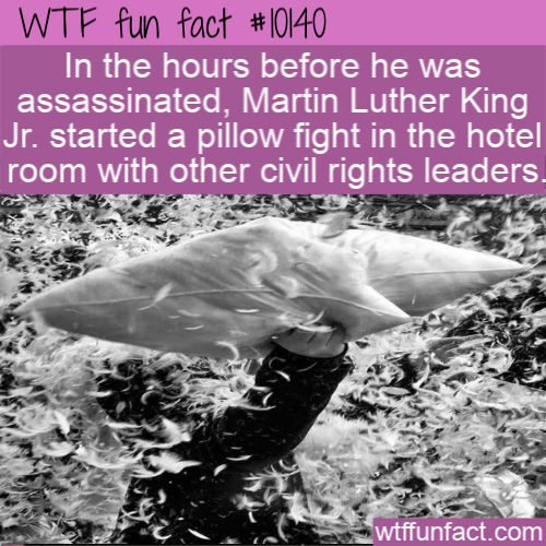 water - Wtf fun fact In the hours before he was assassinated, Martin Luther King Jr. started a pillow fight in the hotel room with other civil rights leaders, wtffunfact.com
