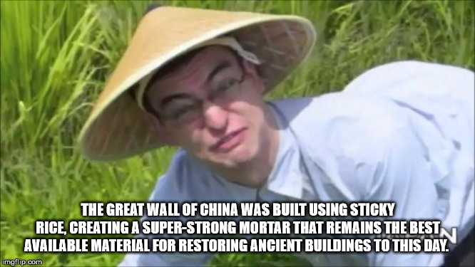 welcome to the rice fields - The Great Wall Of China Was Built Using Sticky Rice, Creating A SuperStrong Mortar That Remains The Best Available Material For Restoring Ancient Buildings To This Day. imgflip.com