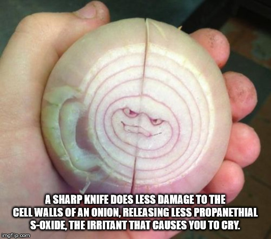 ear - A Sharp Knife Does Less Damage To The Cell Walls Of An Onion, Releasing Less Propanethial SOxide, The Irritant That Causes You To Cry. imgflip.com