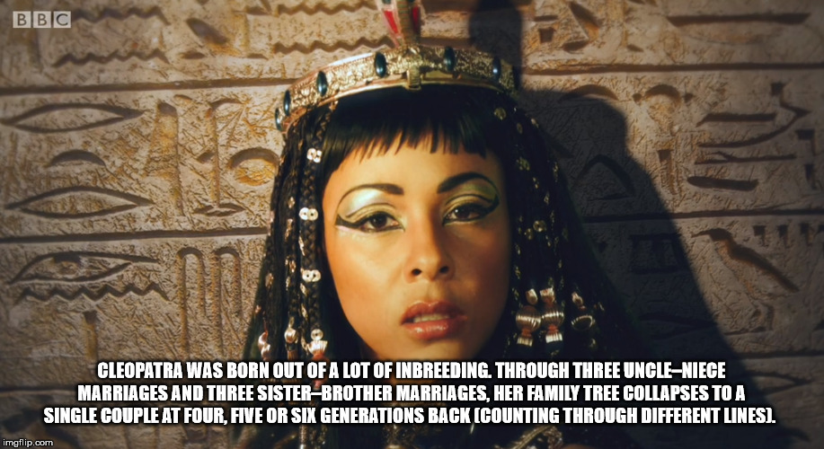 religion - Bbc Cleopatra Was Born Out Of A Lot Of Inbreeding. Through Three UncleNiece Marriages And Three SisterBrother Marriages, Her Family Tree Collapses To A Single Couple At Four, Five Or Six Generations Back Counting Through Different Lines. imgfli