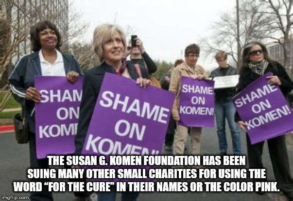 protest - Shame Shame On Komen! Shame Shan On Komen! On On Komenti The Susan G. Komen Foundation Has Been Suing Many Other Small Charities For Using The Word "For The Cure In Their Names Or The Color Pink. imgflip.com