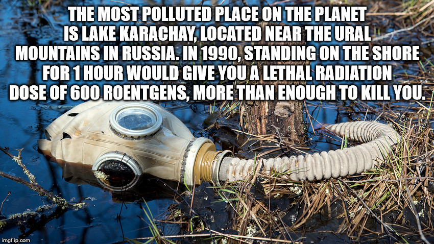 gas mask on the ground - The Most Polluted Place On The Planet Is Lake Karachay, Located Near The Urali Mountains In Russia. In 1990, Standing On The Shore For 1 Hour Would Give You A Lethal Radiation Dose Of 600 Roentgens, More Than Enough To Kill You. i