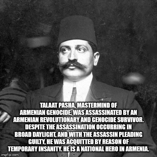 harry potter macros - Talaat Pasha, Mastermind Of Armenian Genocide Was Assassinated Byan Armenian Revolutionary And Genocide Survivor. Despite The Assassination Occurring In Broad Daylight, And With The Assassin Pleading Guilty, He Was Acounted By Reason