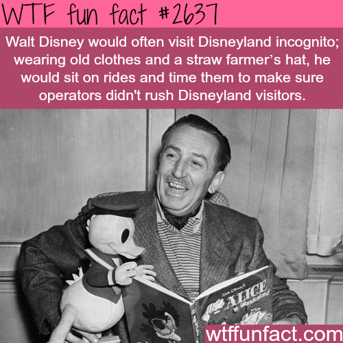 40 Fantabulously Phenomenal Fun Facts For Your Edutainment