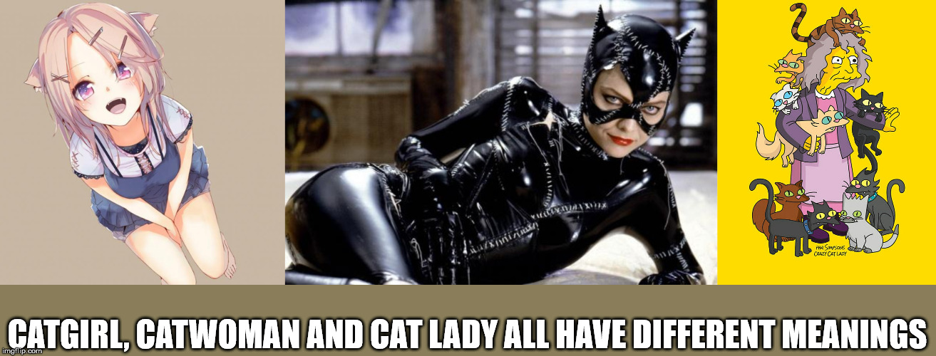 catwoman halle berry vs michelle pfeiffer - 14 C 0 D. La itke Smson Hazy Cat Lady Catgirl, Catwoman And Cat Lady All Have Different Meanings imgilip.com
