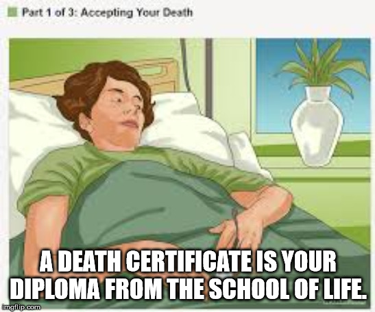 accepting your death wikihow - Part 1 of 3 Accepting Your Death A Death Certificate Is Your Diploma From The School Of Life Imgflip.com