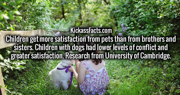 Pet - KickassFacts.com Children get more satisfaction from pets than from brothers and sisters. Children with dogs had lower levels of conflict and greater satisfaction. Research from University of Cambridge.