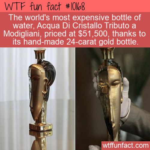 acqua di cristallo tributo a modigliani - Wtf fun fact The world's most expensive bottle of water, Acqua Di Cristallo Tributo a Modigliani, priced at $51,500, thanks to its handmade 24carat gold bottle. wtffunfact.com