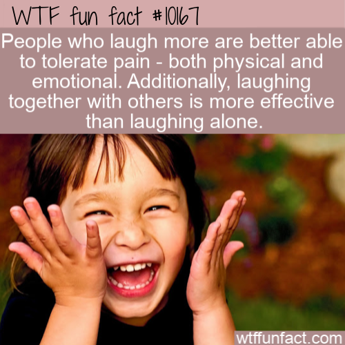 smile - Wtf fun fact People who laugh more are better able to tolerate pain both physical and emotional. Additionally, laughing together with others is more effective than laughing alone. wtffunfact.com