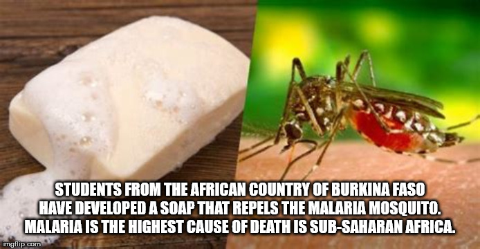 pest - Students From The African Country Of Burkina Faso Have Developed A Soap That Repels The Malaria Mosquito. Malaria Is The Highest Cause Of Death Is SubSaharan Africa. imgflip.com