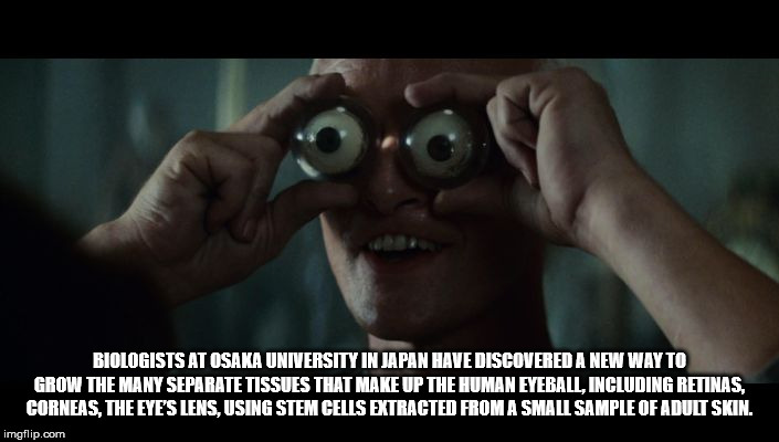 rutger hauer blade runner eyes - Biologists At Osaka University In Japan Have Discovered A New Way To Grow The Many Separate Tissues That Make Up The Human Eyeball, Including Retinas. Corneas The Eye'S Lens, Using Stem Cells Extracted From A Small Sample 