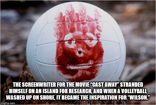 wilson castaway - The Screenwriter For The Movie Cast Away" Stranded Himself On An Island For Research, And When A Volleyball Washed Up On Shore, It Became The Inspiration For "Wilson." imgflip.com