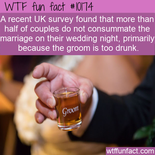 Bridegroom - Wtf fun fact A recent Uk survey found that more than half of couples do not consummate the marriage on their wedding night, primarily because the groom is too drunk. Groom wtffunfact.com