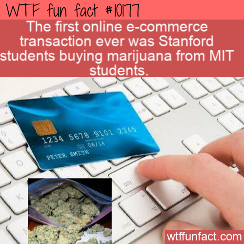 credit card info stolen - Wtf fun fact The first online ecommerce transaction ever was Stanford students buying marijuana from Mit students. 1234 5678 9101 2345 Deila wtffunfact.com