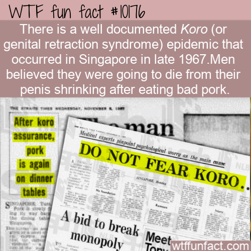 newspaper - Wtf fun fact There is a well documented Koro or genital retraction syndrome epidemic that occurred in Singapore in late 1967. Men believed they were going to die from their penis shrinking after eating bad pork. Ne Teade man Medical experts pi