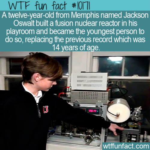 computer professional - Wtf fun fact || A twelveyearold from Memphis named Jackson Oswalt built a fusion nuclear reactor in his playroom and became the youngest person to do so, replacing the previous record which was 14 years of age. wtffunfact.com