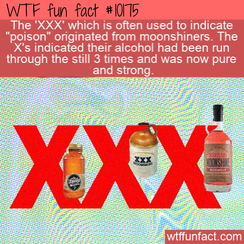 orange - Wtf fun fact The 'Xxx' which is often used to indicate "poison" originated from moonshiners. The X's indicated their alcohol had been run through the still 3 times and was now pure and strong. Be Sdpe Sen Xxx wtffunfact.com