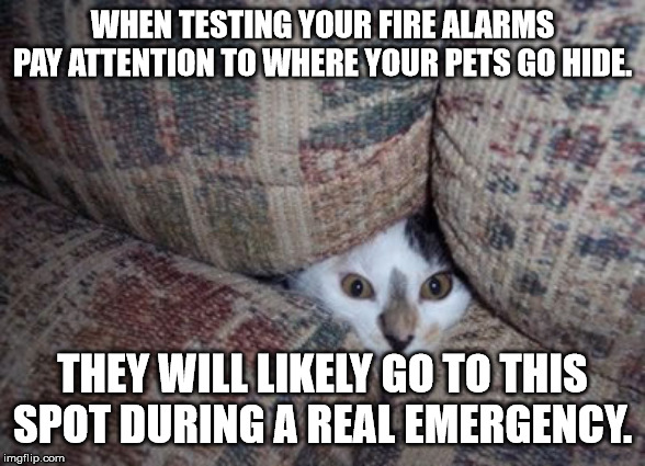 hiding cats - When Testing Your Fire Alarms Pay Attention To Where Your Pets Go Hide. They Will ly Go To This Spot During A Real Emergency. imgflip.com