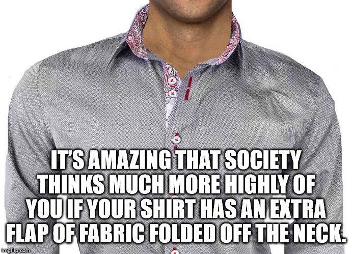 t shirt - S ol.. ' It'S Amazing That Society Thinks Much More Highly Of You If Your Shirt Has An Extra Flap Of Fabric Folded Off The Neck. imgilp.com