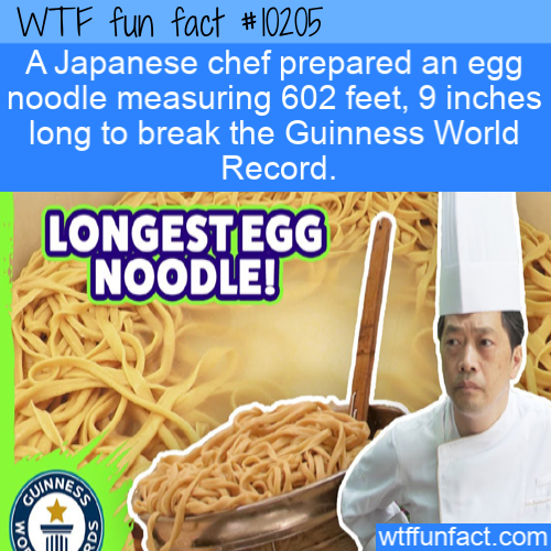 guinness world records - Wtf fun fact A Japanese chef prepared an egg noodle measuring 602 feet, 9 inches long to break the Guinness World Record. Longestegg Noodle! Jinnes wtffunfact.com