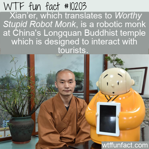 photo caption - Wtf fun fact Xian'er, which translates to Worthy Stupid Robot Monk, is a robotic monk at China's Longquan Buddhist temple which is designed to interact with tourists. wtffunfact.com