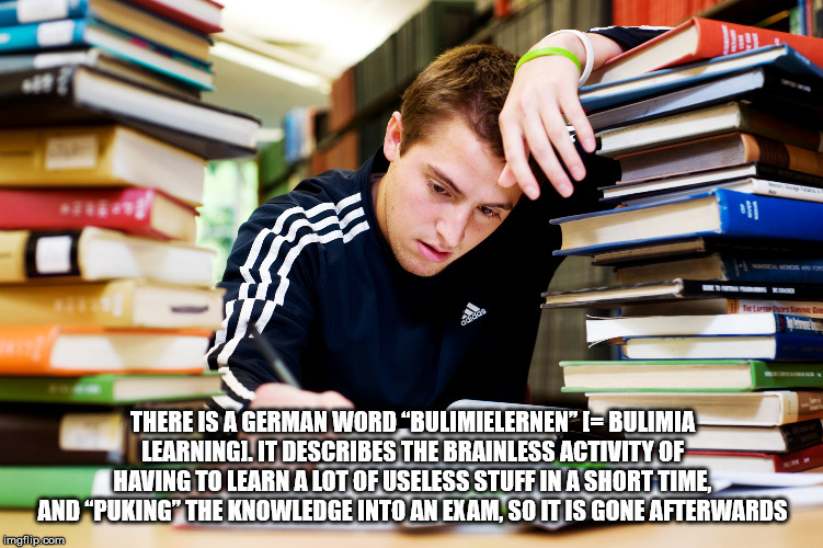 student stress and anxiety - Tie L arsson There Is A German Word Bulimielernen" I Bulimia Learningl. It Describes The Brainless Activity Of Having To Learn A Lot Of Useless Stuff In A Short Time And "Puking" The Knowledge Into An Exam, So It Is Gone After