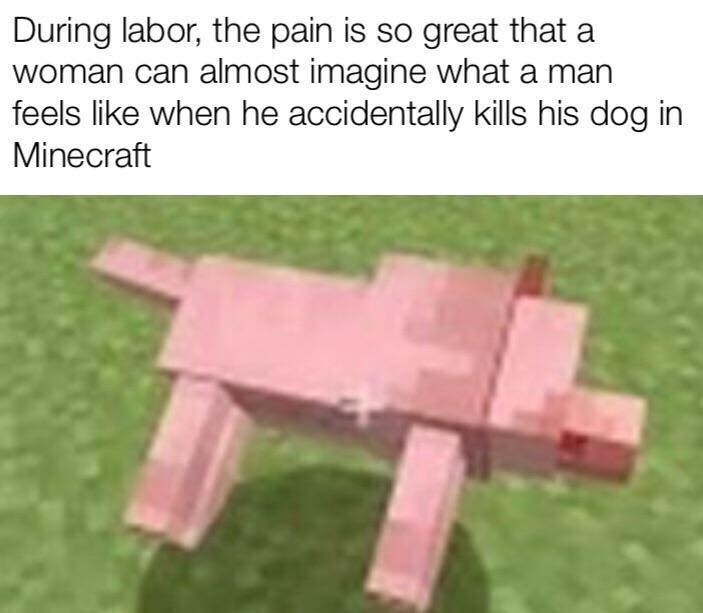 minecraft dog meme - During labor, the pain is so great that a woman can almost imagine what a man feels when he accidentally kills his dog in Minecraft