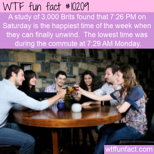 conversation - Wtf fun fact A study of 3,000 Brits found that on Saturday is the happiest time of the week when they can finally unwind. The lowest time was during the commute at Monday. wtffunfact.com