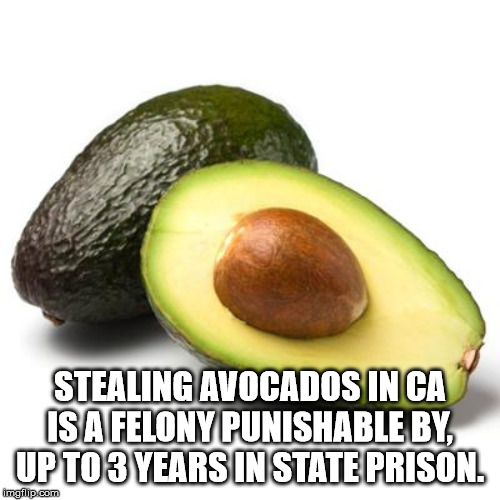 natural foods - Stealing Avocados In Ca Is A Felony Punishable By, Up To 3 Years In State Prison. imgp.com