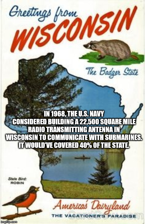 tree - Greetings from Nsin Wisconsin The Badger State In 1968, The U.S. Navy Considered Building A 22,500 Square Mile Radio Transmitting Antenna In Wisconsin To Communicate With Submarines. It Would'Ve Covered 40% Of The State State Bird Robin America's D