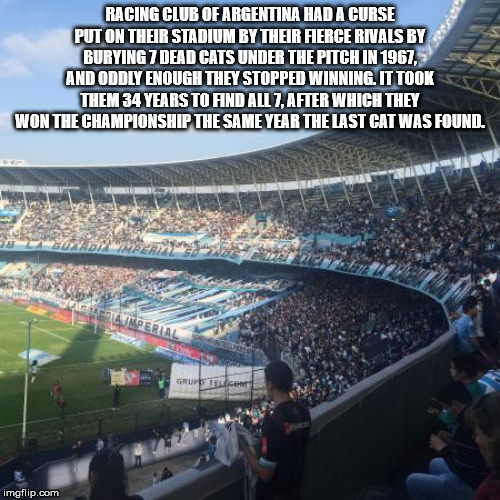 Racing Club Of Argentina Had A Curse Put On Their Stadium By Their Fierce Rivals By Burying 7 Dead Cats Under The Pitch In 1967. And Oddly Enough They Stopped Winning. It Took Them 34 Years To Find All 7, After Which They Won The Championship The Same Yea