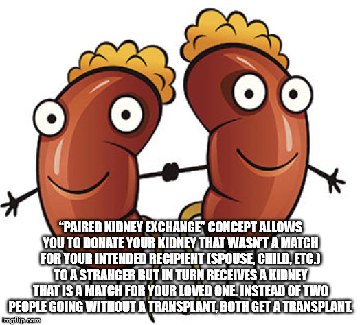 cartoon - O Ooo "Paired Kidney Exchange Concept Allows You To Donate Your Kidney That Wasnta Match For Your Intended Recipient Spouse, Child, Etc. To A Stranger But In Turn Receives A Kidney That Is A Match For Your Loved One. Instead Of Two People Going 