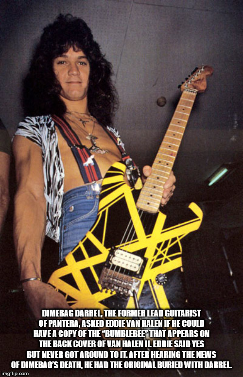 eddie van halen bumblebee guitar - Dimebag Darrel, The Former Lead Guitarist Of Pantera, Asked Eddie Van Halen If He Could Have A Copy Of The "Bumblebee That Appears On The Back Cover Of Van Halen Il Eddie Said Yes But Never Got Around Toil After Hearing 