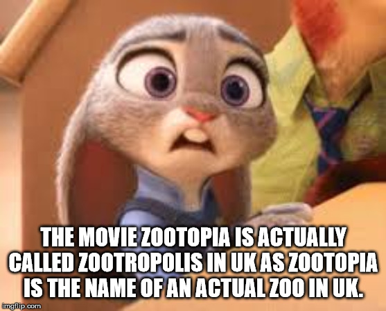 zootopia meme template - The Movie Zootopia Is Actually Called Zootropolis In Ukas Zootopia Is The Name Of An Actual Zoo In Uk. imgflip.com