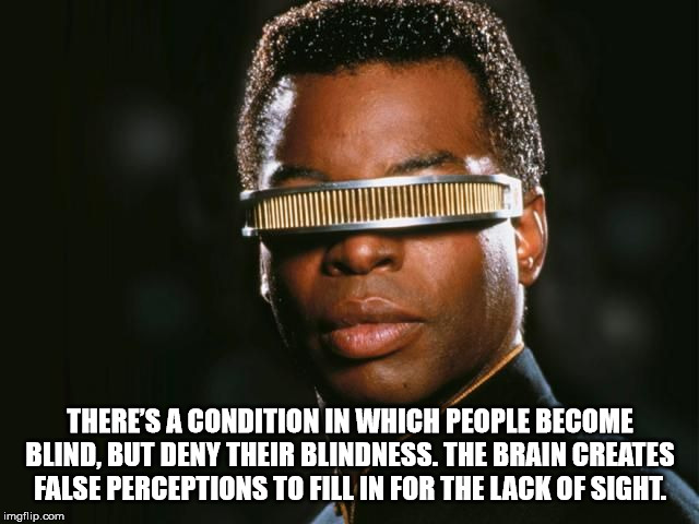 star trek - There'S A Condition In Which People Become Blind, But Deny Their Blindness. The Brain Greates Fase Perceptions To Fill In For The Lack Of Sight. imgflip.com