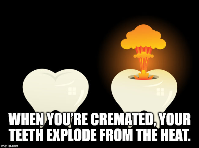 beyond lies the wub - When You'Re Cremated, Your Teeth Explode From The Heat. imgflip.com