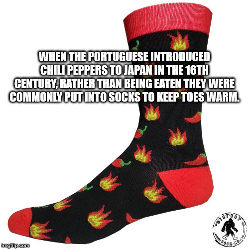 alpesh patel - When The Portuguese Introduced Chili Peppers To Japan In The 16TH Century, Rather Than Being Eaten They Were Commonly Put Into Socks To Keep Toes Warm. malip.com