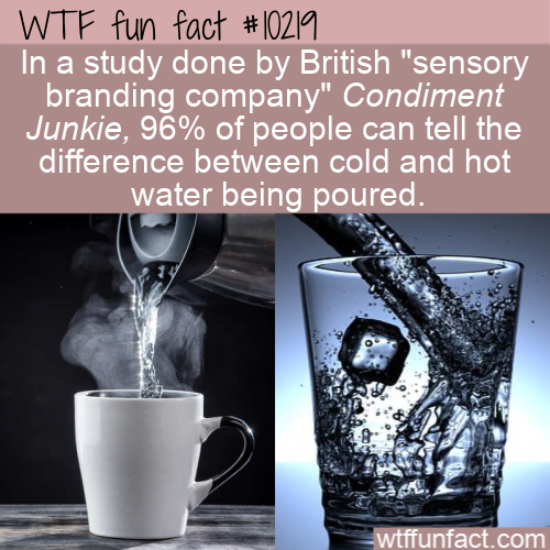 hot water - Wtf fun fact In a study done by British "sensory branding company" Condiment Junkie, 96% of people can tell the difference between cold and hot water being poured. wtffunfact.com