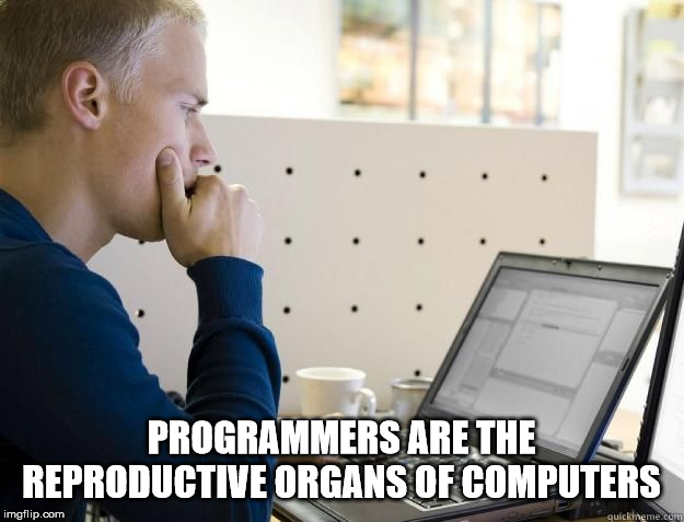 india programmer meme - Programmers Are The Reproductive Organs Of Computers imgflip.com quickmeme.com