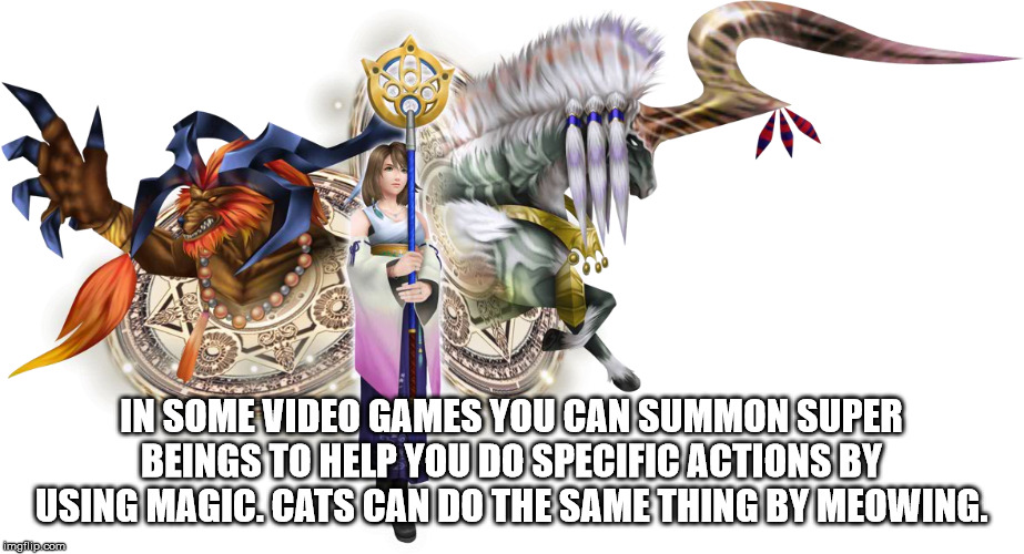 Video game - In Some Video Games You Can Summon Super Beings To Help You Do Specific Actions By Using Magic.Cats Can Do The Same Thing By Meowing. imgilip.com